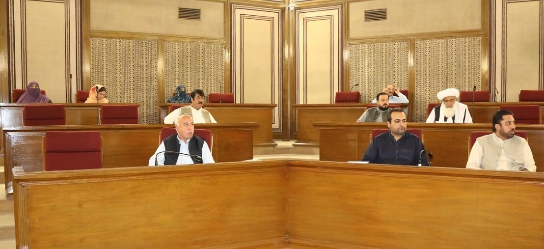 بلوچستان میں بننے والی مخلوط حکومت کیلئے سال 2024 کیسا رہا؟