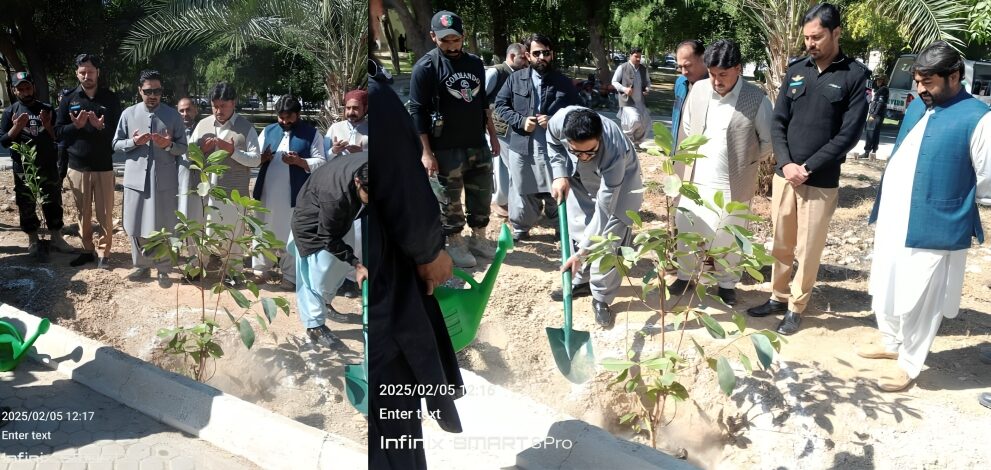 🌿🍃 موسمِ بہار شجرکاری مہم 2025 – پودا لگائیں، زمین سنواریں! 🌍💚