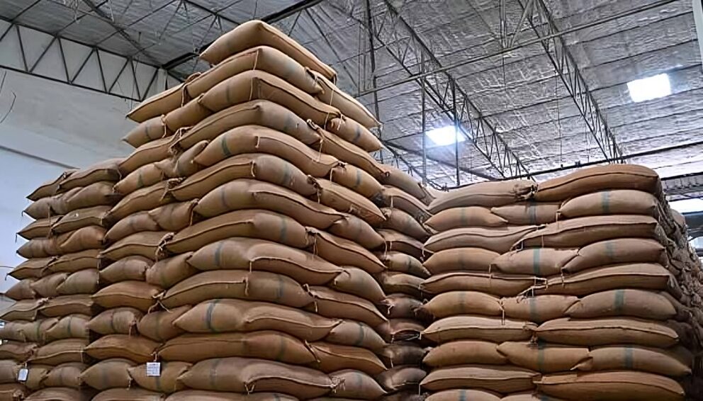 بلوچستان،محکمہ خوراک کے گوداموں میں گندم کی 8 لاکھ بوریاں خراب ہونے کا خدشہ