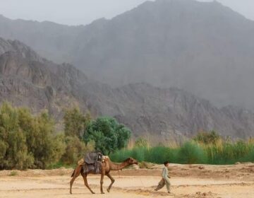 بلوچستان میں گرمی اور نمی کا راج، کچھ علاقوں میں بارش کا امکان