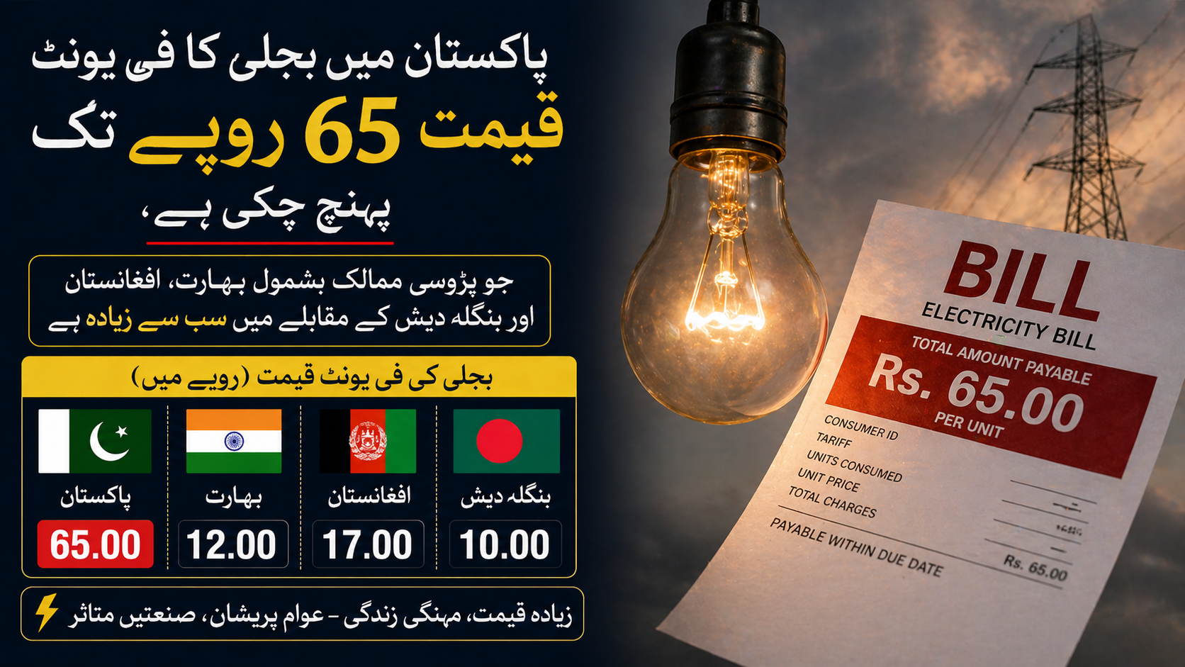“پاکستان میں بجلی کا فی یونٹ قیمت 65 روپے تک پہنچ چکی ہے