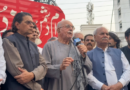 دنیا کی کوئی طاقت عمران خان کو سیاست سے مائنس نہیں کر سکتی، محمود خان اچکزئی