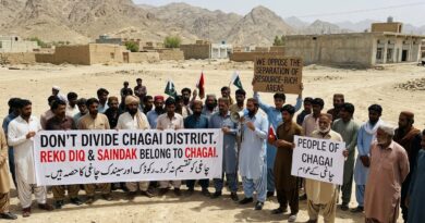 ریکوڈک اور سیندک کو ضلع چاغی سے الگ کرنا عوامی حق پر ضرب ہے، چاغی کو تقسیم کرنے کے بجائے دو حلقوں میں تقسیم کیا جائے: اہلیانِ چاغی