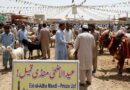 مویشی منڈیاں قیمتیں آسمان پر 202605222221 1