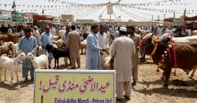 کوئٹہ میں عیدالاضحی کی مویشی منڈیاں سج گئیں، قربانی کے جانوروں کی قیمتیں آسمان پر پہنچ گئیں