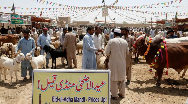 مویشی منڈیاں قیمتیں آسمان پر 202605222221 1