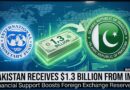 پاکستان کو آئی ایم ایف سے 1.3 ارب ڈالرز موصول ہوگئے