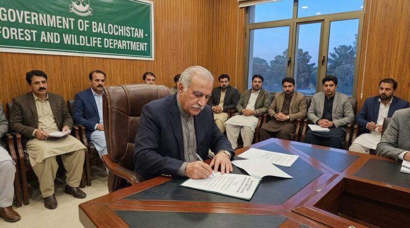 بلوچستان میں درختوں کی کٹائی پر ایک سال کے لئے مکمل پابندی عائد، متعلقہ حکام کو نوٹیفکیشن پرعملدرآمد کی ہدایت