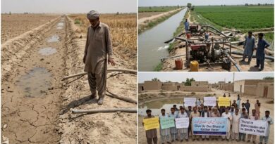 کیرتھر کینال میں زرعی پانی کا شدید شارٹ فال، سندھ کی جانب سے بلوچستان کے حصے کا پانی چوری کیے جانے کا انکشاف