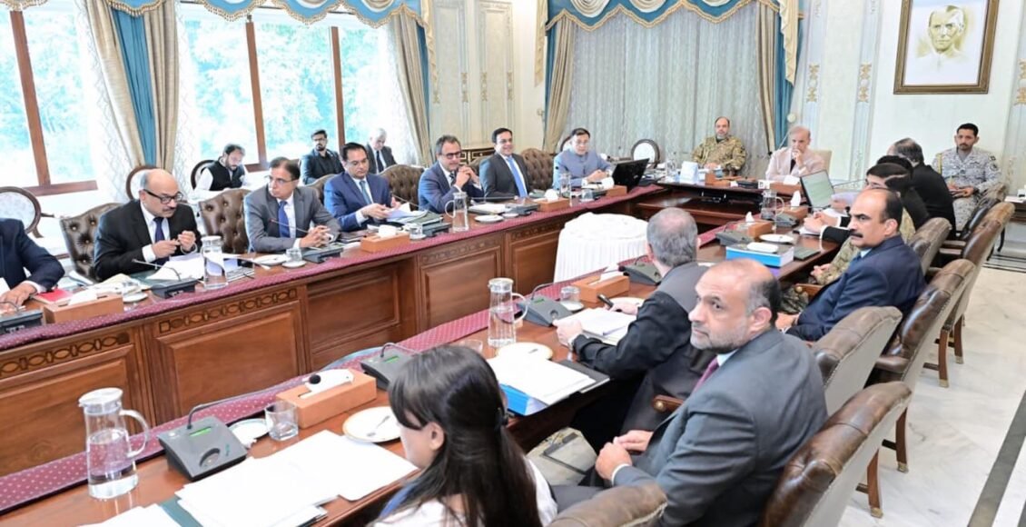 کابینہ کمیٹی توانائی نے پاور ڈویژن کی جانب سے پیش کر دہ نیشنل الیکٹریسٹی پلان 2023ـ2027 میں ترامیم کی منظوری دیدی