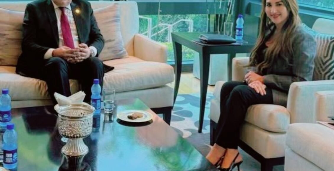 ڈپٹی چیئرمین سینیٹ کی امریکی سفارتخانے کے ڈپٹی چیف آف مشن سے ملاقات