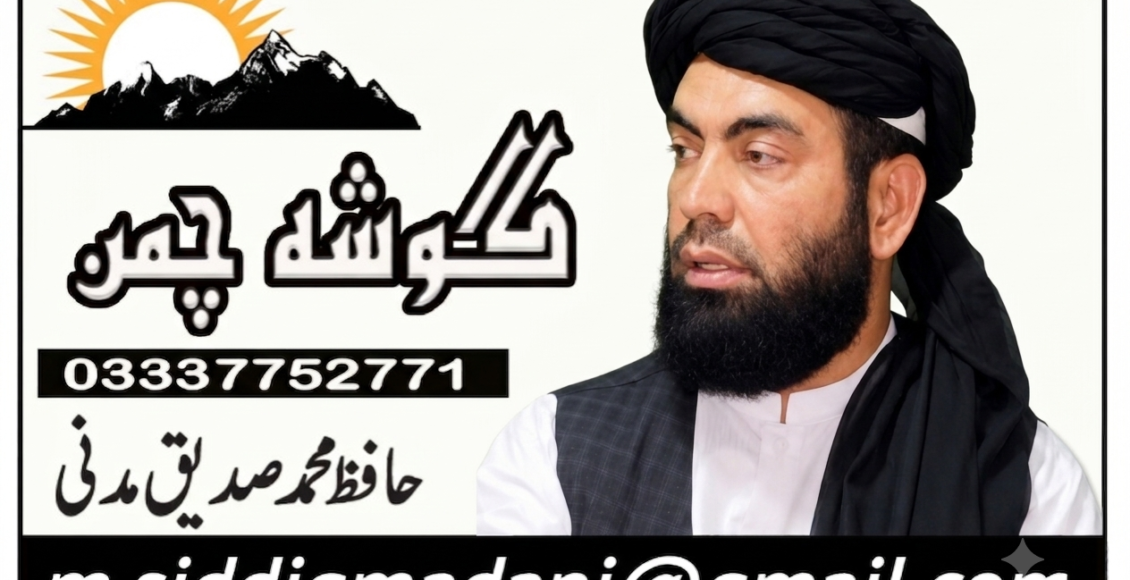 جمہوریت کی مضبوطی میں پلڈاٹ کا 24 سالہ کردار | تجزیہ
