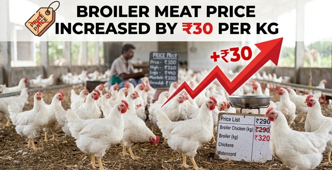 برائلر گوشت کی قیمت میں30روپے کلو اضافہ