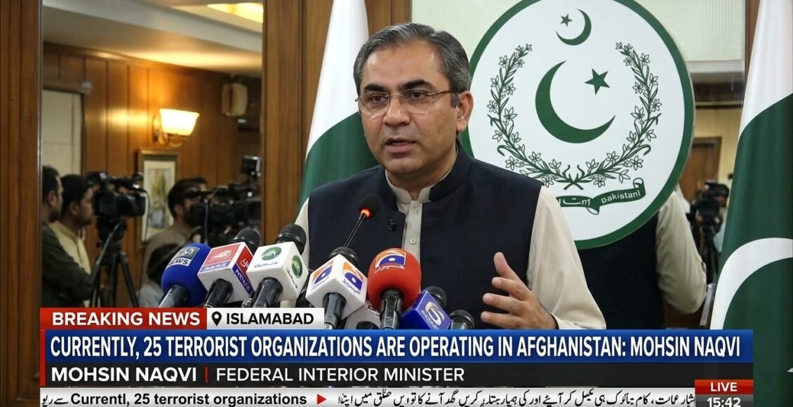 افغانستان میں اس وقت 25 دہشت گرد تنظیمیں کام کر رہی ہیں: محسن نقوی